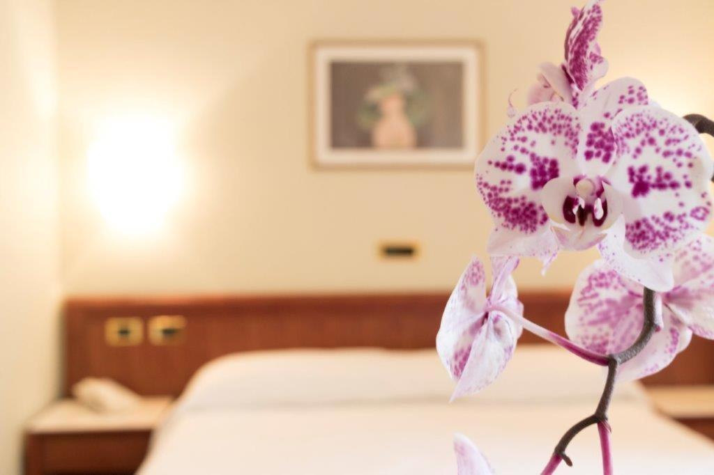 Palace Hotel Civitanova Marche Dış mekan fotoğraf